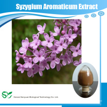Alta pureza e natureza Syzygium Aromaticum Extract